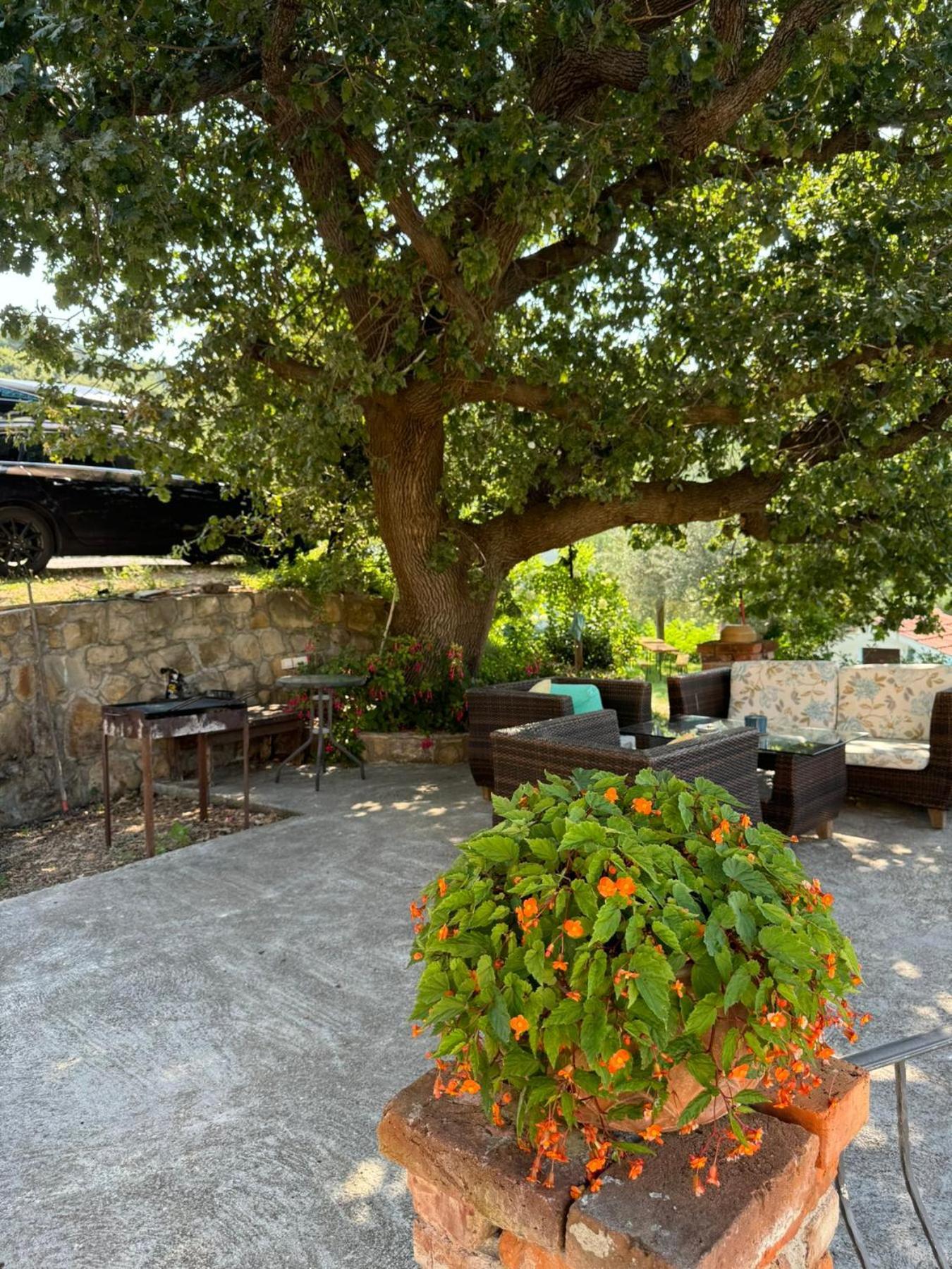 Apartments Dumicic Supetarska Draga Exterior foto